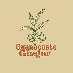 Guanacaste Ginger