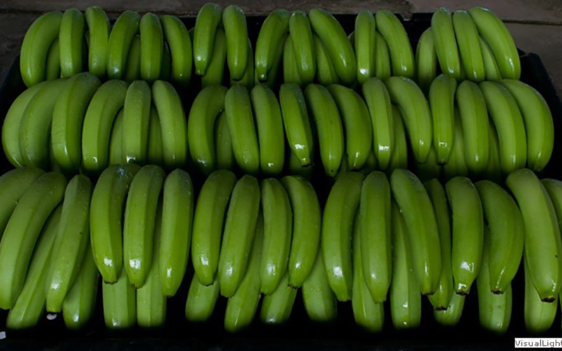 Crecen Exportaciones de Costa Rica